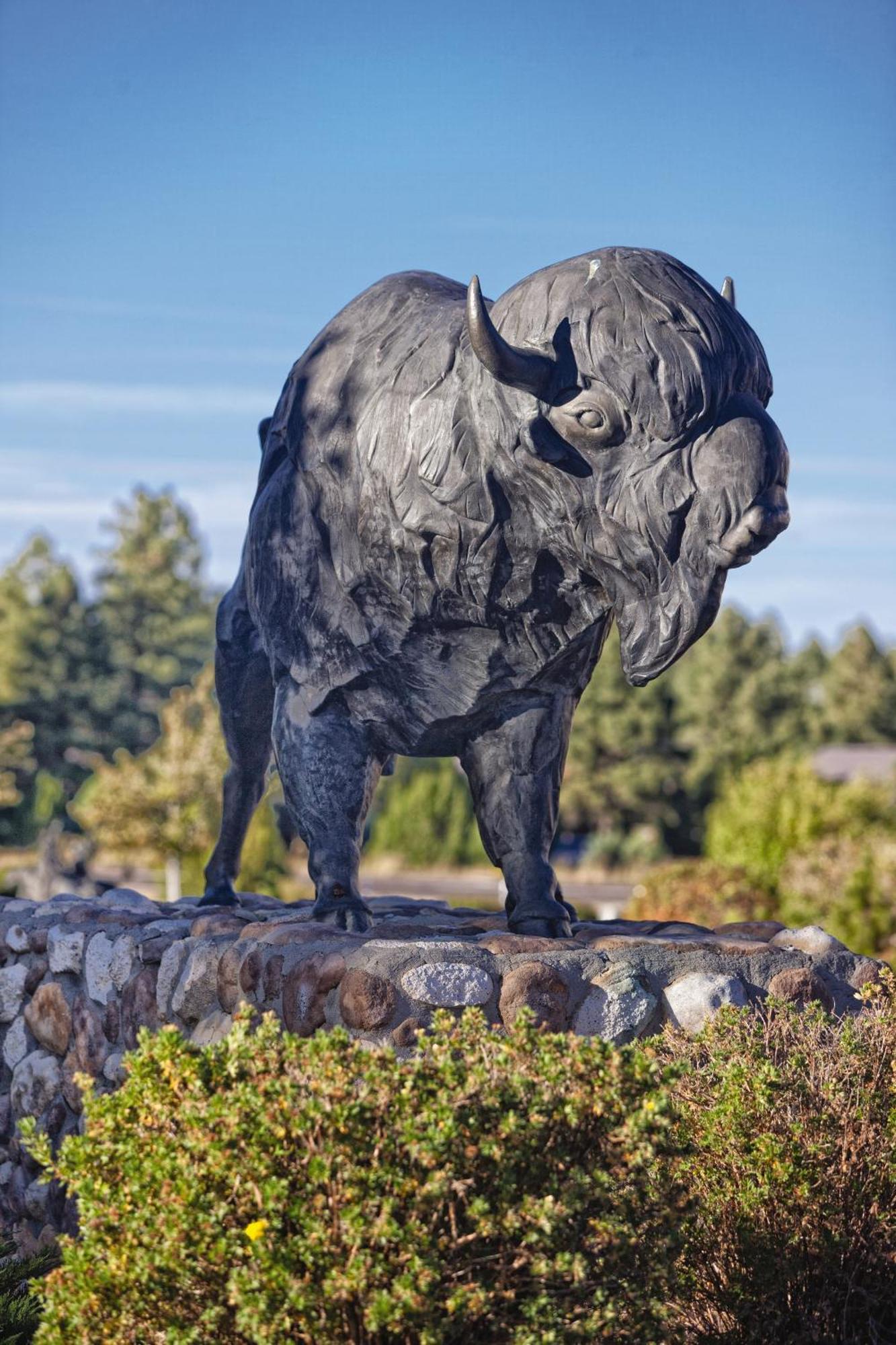 Worldmark Bison Ranch Overgaard Luaran gambar